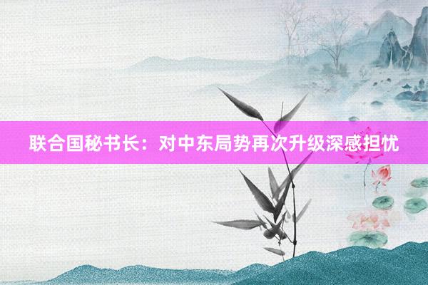联合国秘书长：对中东局势再次升级深感担忧