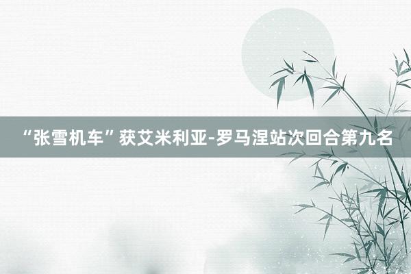“张雪机车”获艾米利亚-罗马涅站次回合第九名