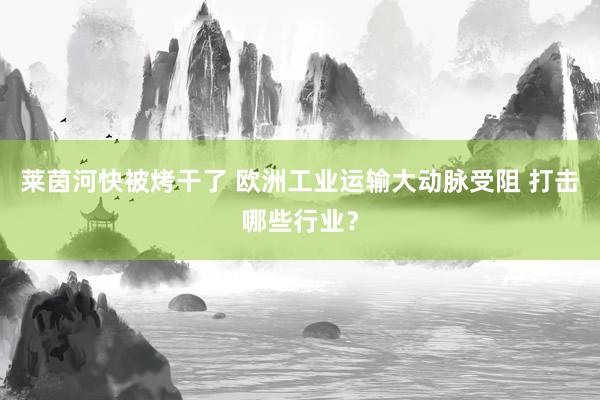 莱茵河快被烤干了 欧洲工业运输大动脉受阻 打击哪些行业？
