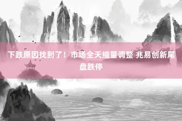 下跌原因找到了！市场全天缩量调整 兆易创新尾盘跌停