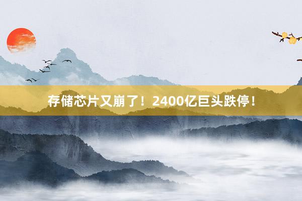 存储芯片又崩了！2400亿巨头跌停！