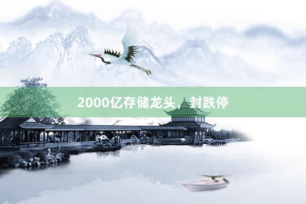 2000亿存储龙头，封跌停