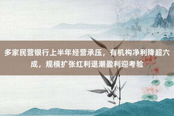 多家民营银行上半年经营承压，有机构净利降超六成，规模扩张红利退潮盈利迎考验