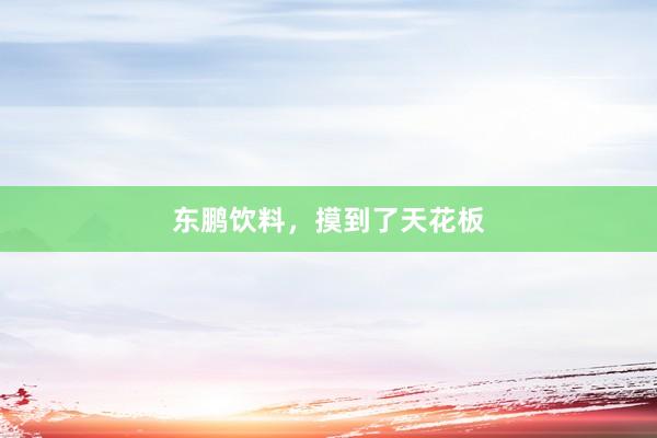 东鹏饮料，摸到了天花板
