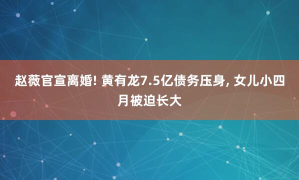 赵薇官宣离婚! 黄有龙7.5亿债务压身, 女儿小四月被迫长大