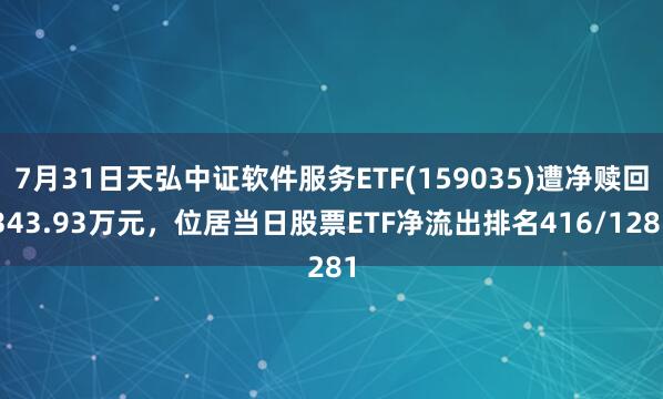 7月31日天弘中证软件服务ETF(159035)遭净赎回343.93万元，位居当日股票ETF净流出排名416/1281