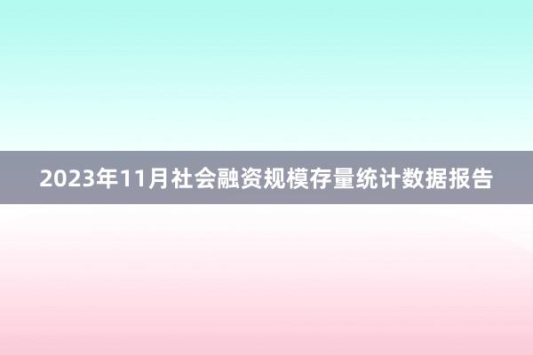 2023年11月社会融资规模存量统计数据报告