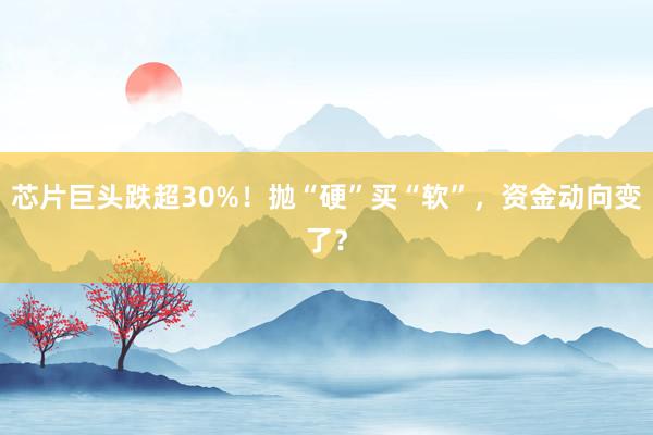 芯片巨头跌超30%！抛“硬”买“软”，资金动向变了？