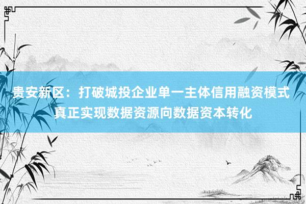 贵安新区：打破城投企业单一主体信用融资模式 真正实现数据资源向数据资本转化