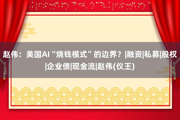赵伟：美国AI“烧钱模式”的边界？|融资|私募|股权|企业债|现金流|赵伟(仪王)