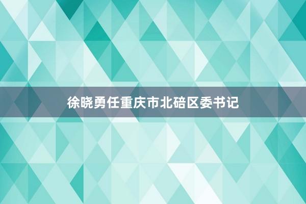 徐晓勇任重庆市北碚区委书记