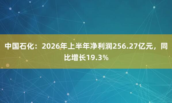 中国石化：2026年上半年净利润256.27亿元，同比增长19.3%