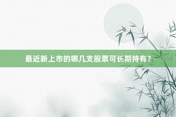 最近新上市的哪几支股票可长期持有？