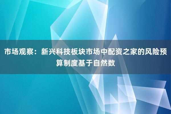 市场观察：新兴科技板块市场中配资之家的风险预算制度基于自然数