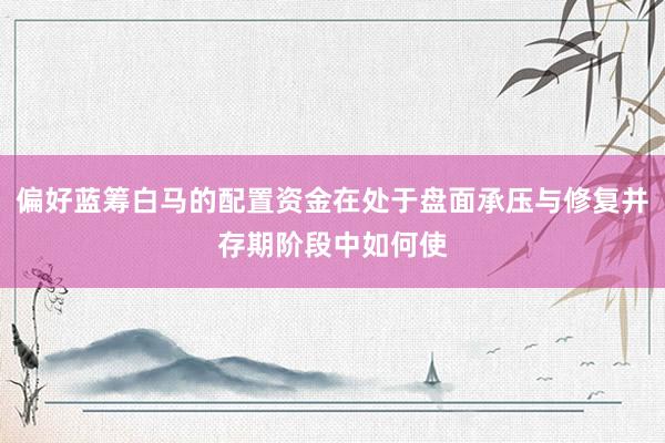 偏好蓝筹白马的配置资金在处于盘面承压与修复并存期阶段中如何使