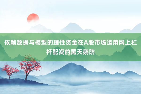 依赖数据与模型的理性资金在A股市场运用网上杠杆配资的黑天鹅防