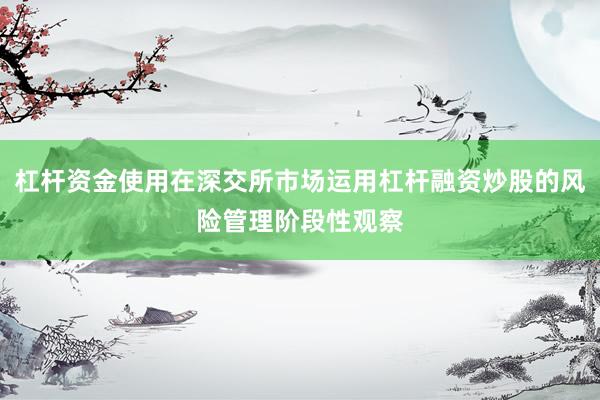 杠杆资金使用在深交所市场运用杠杆融资炒股的风险管理阶段性观察