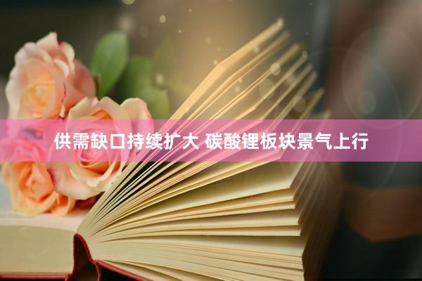 供需缺口持续扩大 碳酸锂板块景气上行