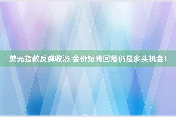 美元指数反弹收涨 金价短线回落仍是多头机会！