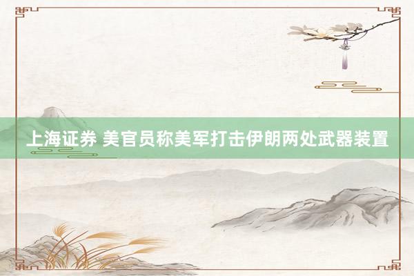 上海证券 美官员称美军打击伊朗两处武器装置
