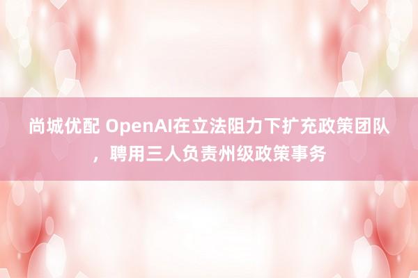 尚城优配 OpenAI在立法阻力下扩充政策团队，聘用三人负责州级政策事务