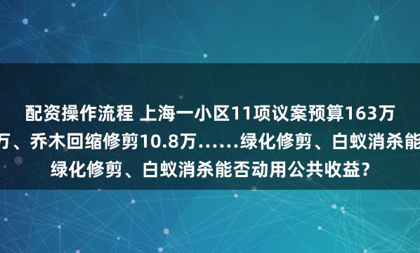 配资操作流程 上海一小区11项议案预算163万元！白蚁防治28万、乔木回缩修剪10.8万……绿化修剪、白蚁消杀能否动用公共收益？