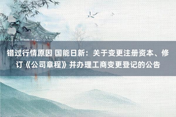 错过行情原因 国能日新：关于变更注册资本、修订《公司章程》并办理工商变更登记的公告
