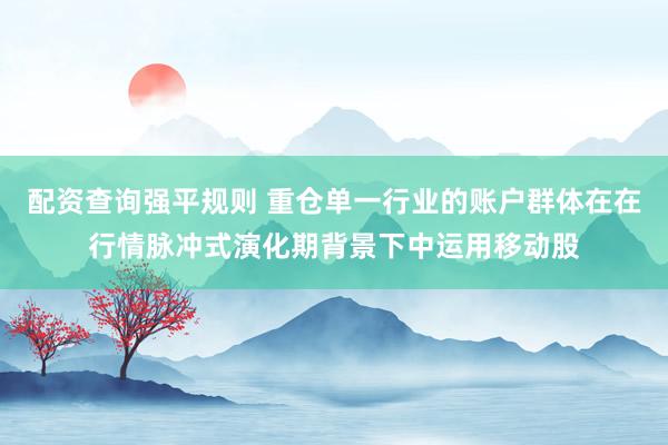 配资查询强平规则 重仓单一行业的账户群体在在行情脉冲式演化期背景下中运用移动股