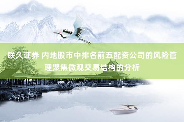 联久证券 内地股市中排名前五配资公司的风险管理聚焦微观交易结构的分析