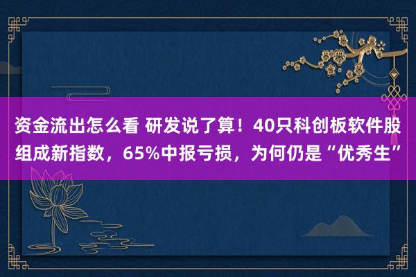 资金流出怎么看 研发说了算！40只科创板软件股组成新指数，65%中报亏损，为何仍是“优秀生”